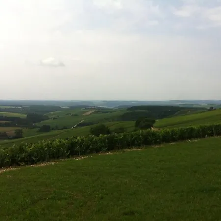 펜션 Grande Maison De Champagne Chez L *