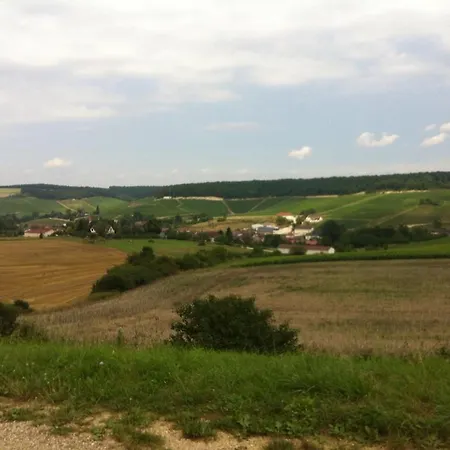 Grande Maison De Champagne Chez L 펜션 Noe-les-Mallets